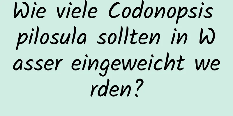 Wie viele Codonopsis pilosula sollten in Wasser eingeweicht werden?