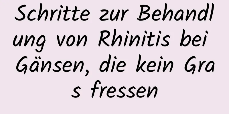 Schritte zur Behandlung von Rhinitis bei Gänsen, die kein Gras fressen