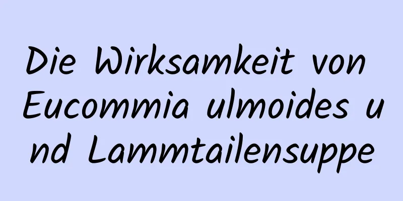 Die Wirksamkeit von Eucommia ulmoides und Lammtailensuppe