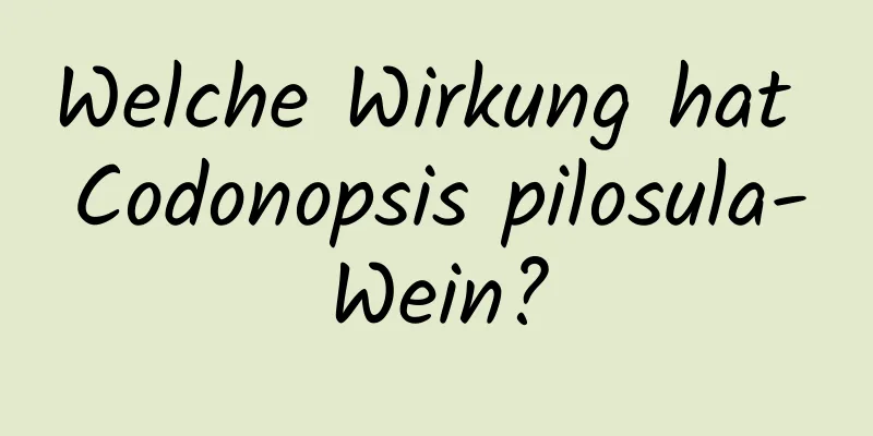 Welche Wirkung hat Codonopsis pilosula-Wein?