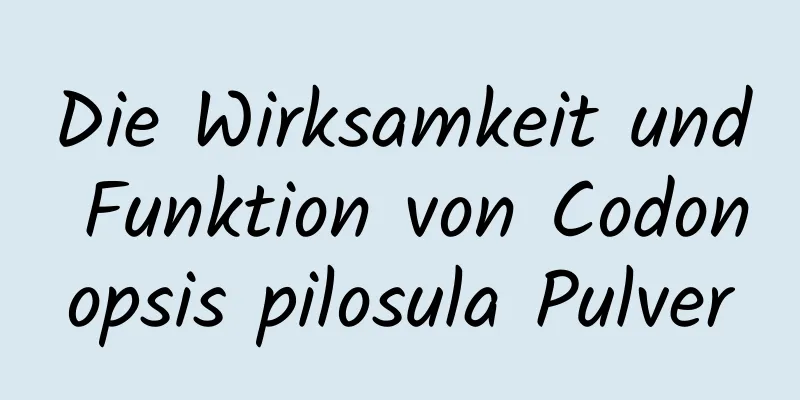 Die Wirksamkeit und Funktion von Codonopsis pilosula Pulver