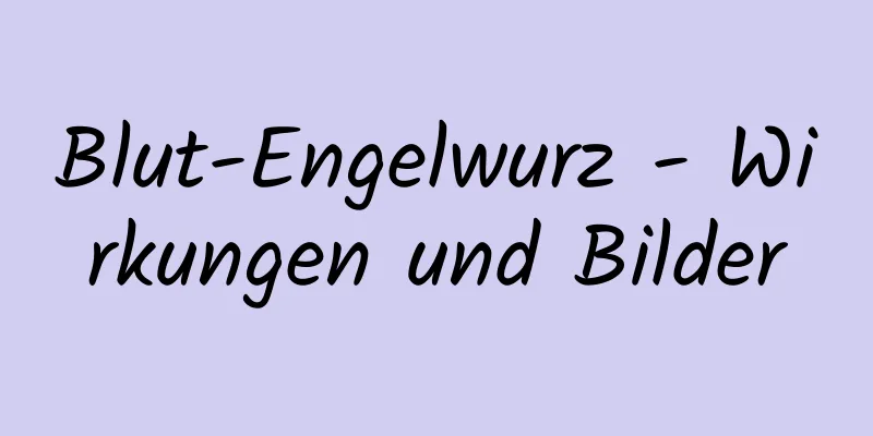 Blut-Engelwurz - Wirkungen und Bilder