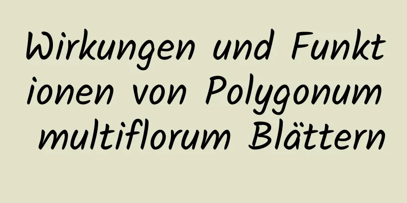 Wirkungen und Funktionen von Polygonum multiflorum Blättern