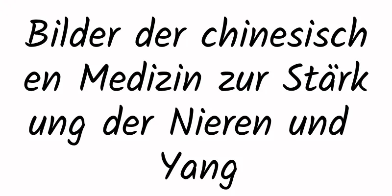 Bilder der chinesischen Medizin zur Stärkung der Nieren und Yang