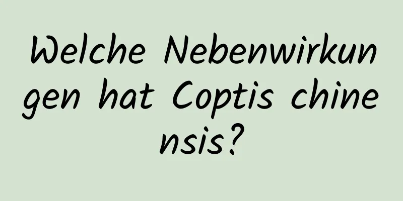 Welche Nebenwirkungen hat Coptis chinensis?