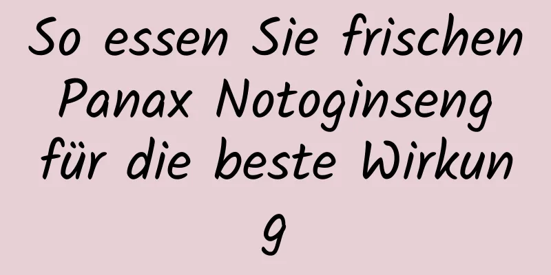 So essen Sie frischen Panax Notoginseng für die beste Wirkung