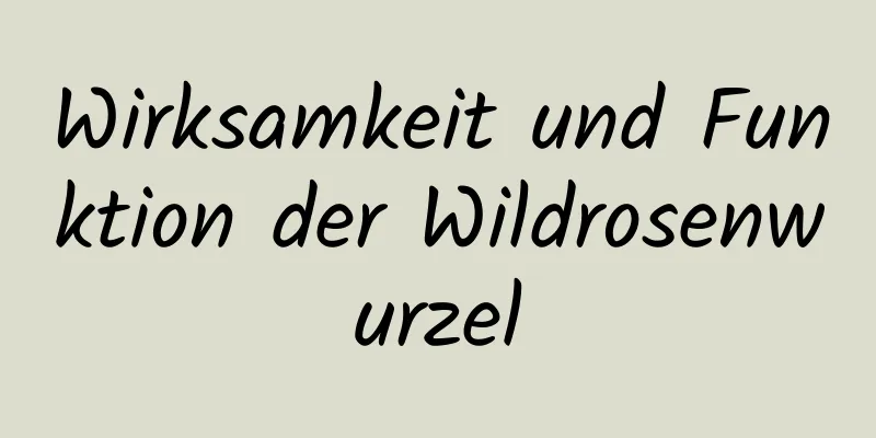 Wirksamkeit und Funktion der Wildrosenwurzel