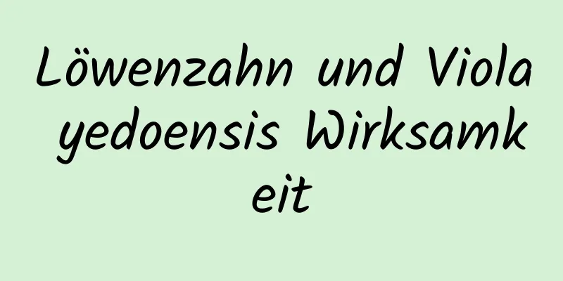 Löwenzahn und Viola yedoensis Wirksamkeit