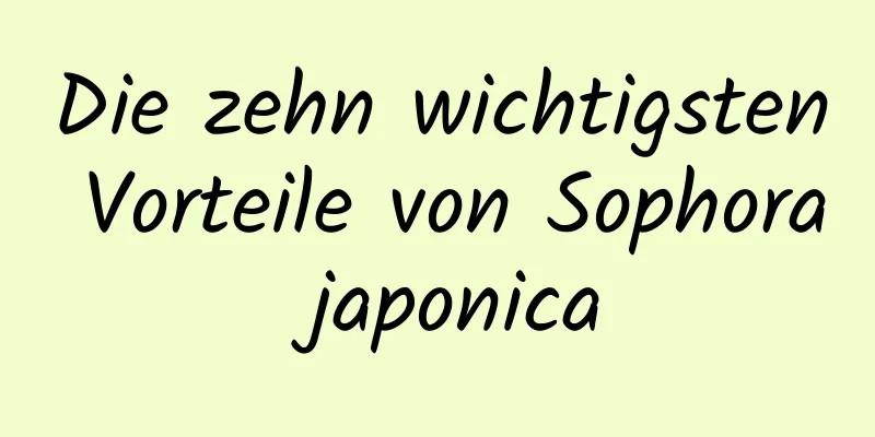 Die zehn wichtigsten Vorteile von Sophora japonica