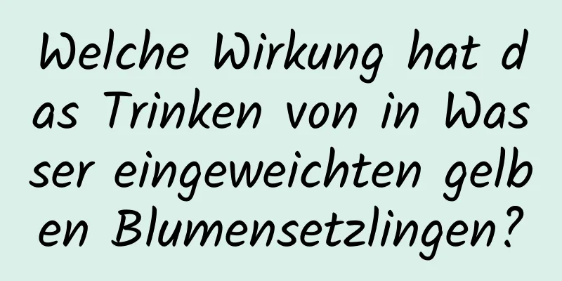 Welche Wirkung hat das Trinken von in Wasser eingeweichten gelben Blumensetzlingen?