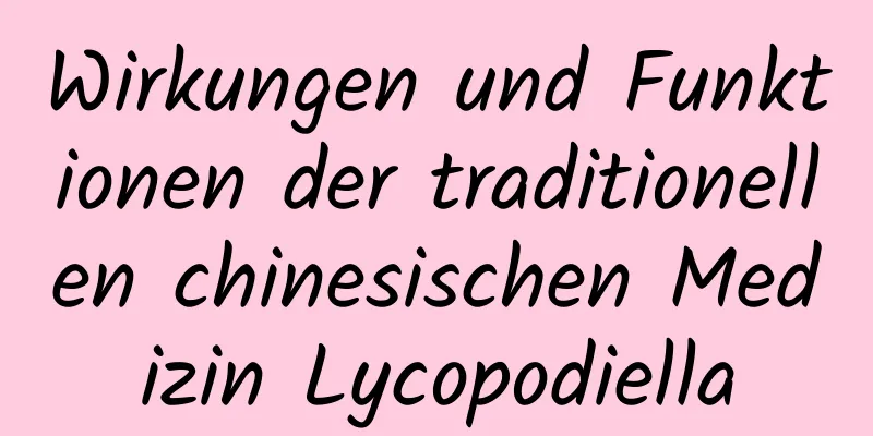 Wirkungen und Funktionen der traditionellen chinesischen Medizin Lycopodiella