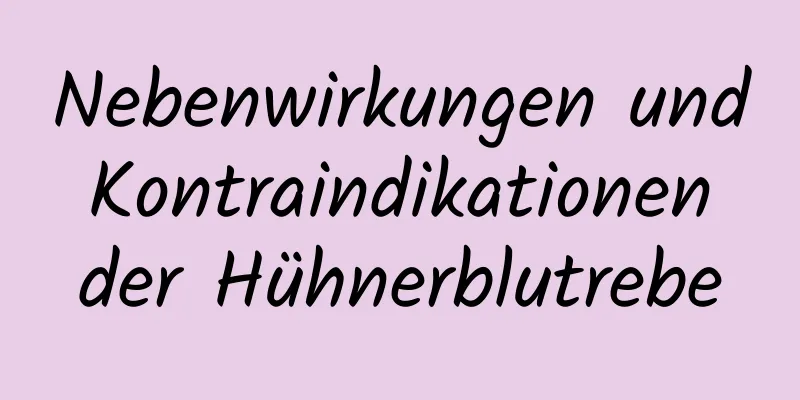 Nebenwirkungen und Kontraindikationen der Hühnerblutrebe