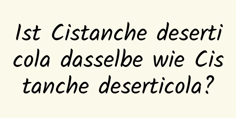 Ist Cistanche deserticola dasselbe wie Cistanche deserticola?