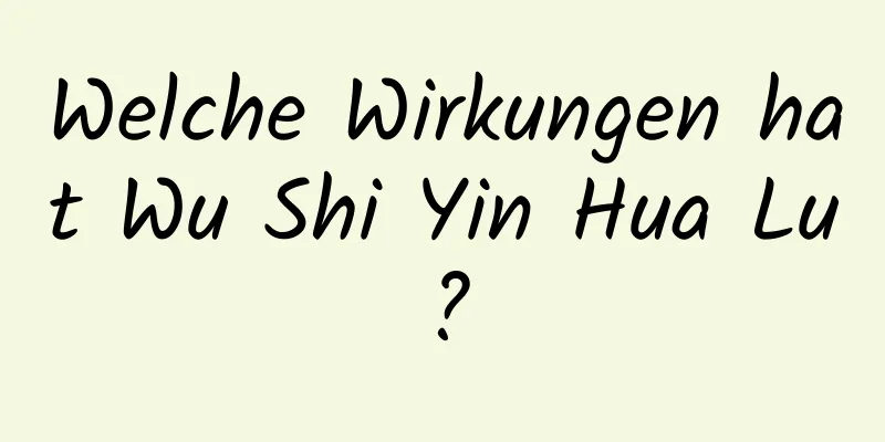 Welche Wirkungen hat Wu Shi Yin Hua Lu?