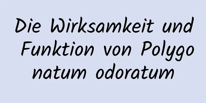 Die Wirksamkeit und Funktion von Polygonatum odoratum