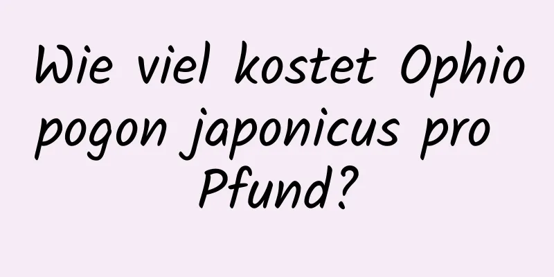 Wie viel kostet Ophiopogon japonicus pro Pfund?