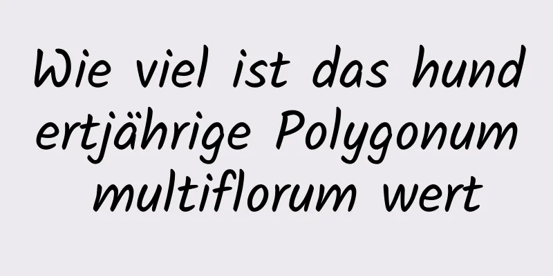 Wie viel ist das hundertjährige Polygonum multiflorum wert