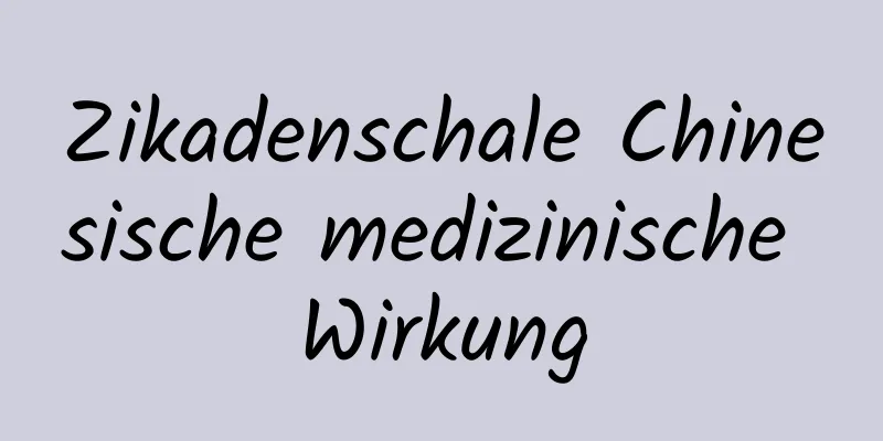 Zikadenschale Chinesische medizinische Wirkung