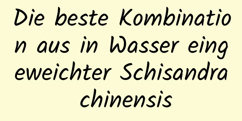 Die beste Kombination aus in Wasser eingeweichter Schisandra chinensis