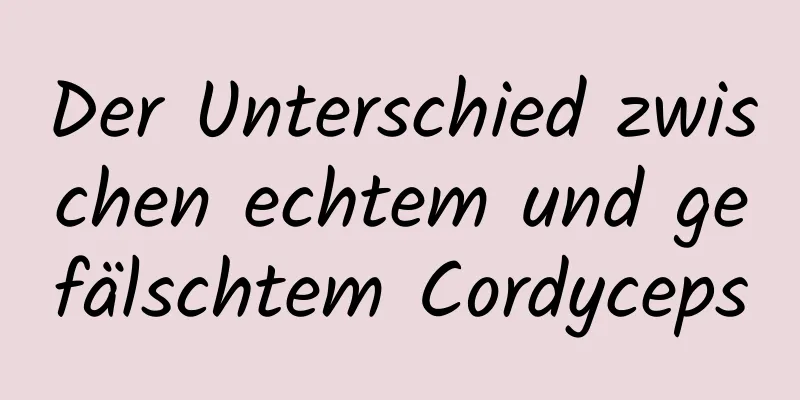 Der Unterschied zwischen echtem und gefälschtem Cordyceps