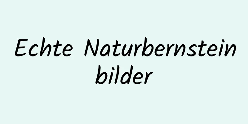 Echte Naturbernsteinbilder