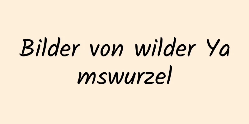 Bilder von wilder Yamswurzel