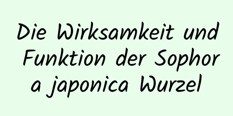 Die Wirksamkeit und Funktion der Sophora japonica Wurzel