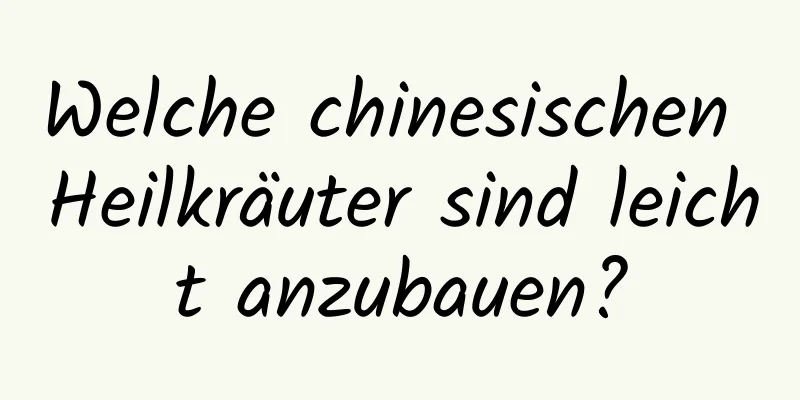 Welche chinesischen Heilkräuter sind leicht anzubauen?