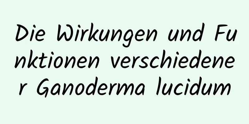 Die Wirkungen und Funktionen verschiedener Ganoderma lucidum