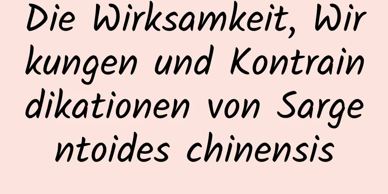 Die Wirksamkeit, Wirkungen und Kontraindikationen von Sargentoides chinensis