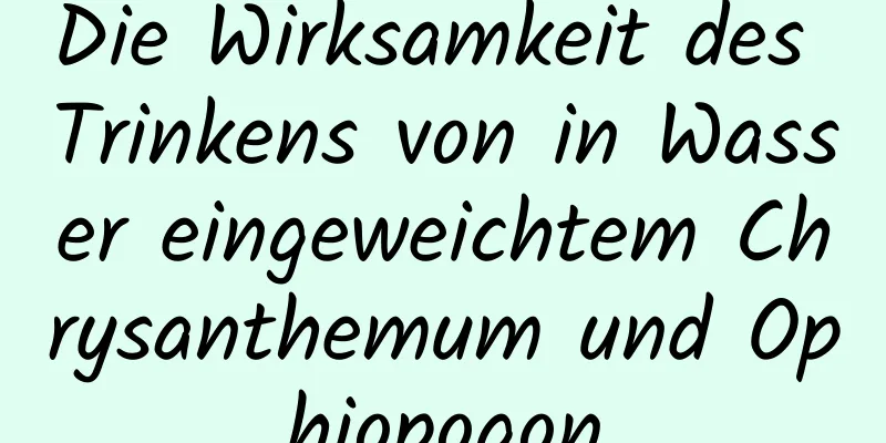 Die Wirksamkeit des Trinkens von in Wasser eingeweichtem Chrysanthemum und Ophiopogon