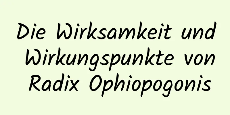 Die Wirksamkeit und Wirkungspunkte von Radix Ophiopogonis