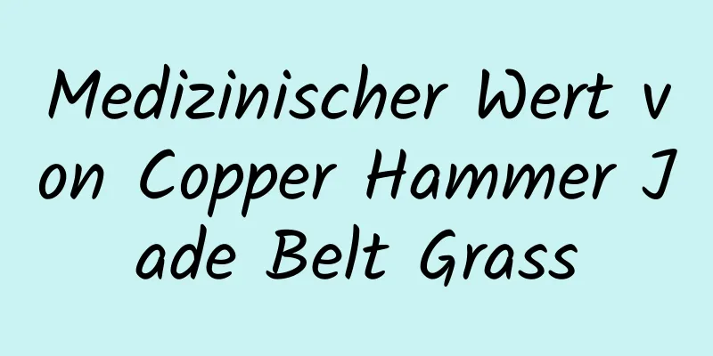 Medizinischer Wert von Copper Hammer Jade Belt Grass