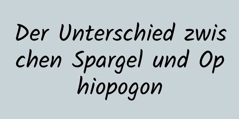 Der Unterschied zwischen Spargel und Ophiopogon