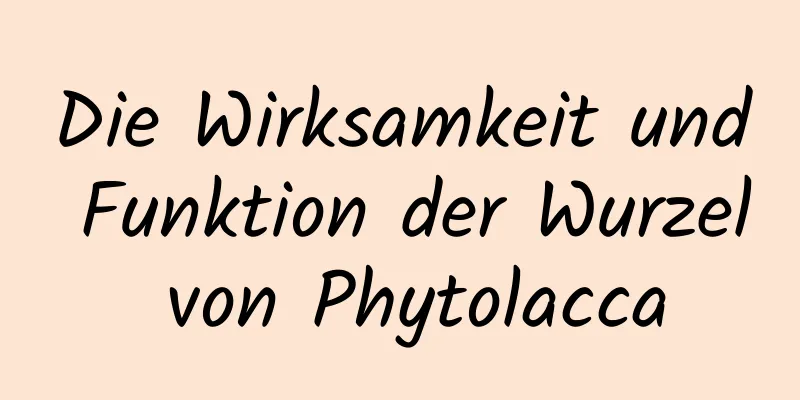 Die Wirksamkeit und Funktion der Wurzel von Phytolacca