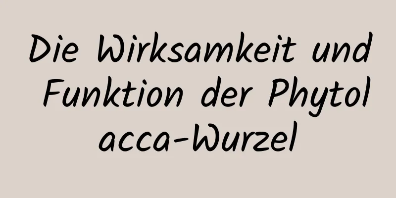 Die Wirksamkeit und Funktion der Phytolacca-Wurzel