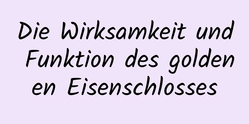 Die Wirksamkeit und Funktion des goldenen Eisenschlosses