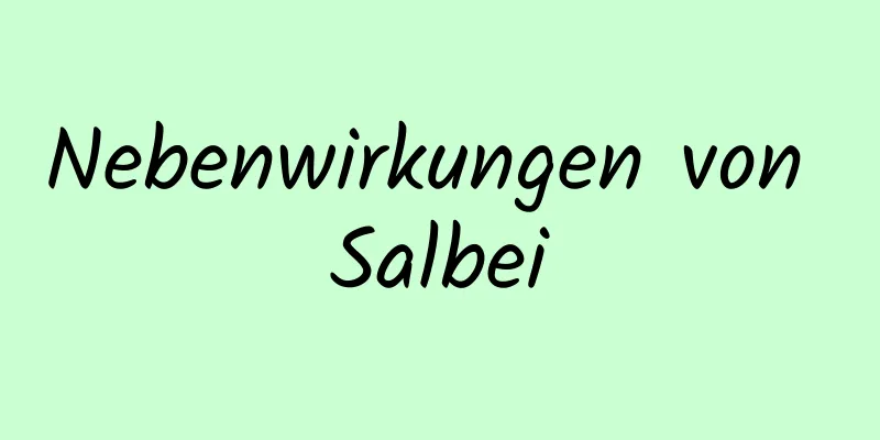 Nebenwirkungen von Salbei