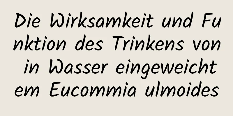 Die Wirksamkeit und Funktion des Trinkens von in Wasser eingeweichtem Eucommia ulmoides