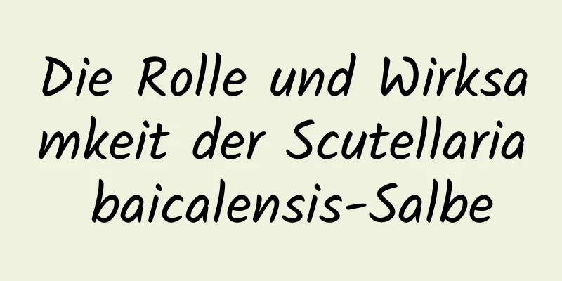 Die Rolle und Wirksamkeit der Scutellaria baicalensis-Salbe