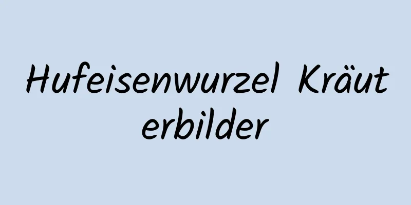 Hufeisenwurzel Kräuterbilder