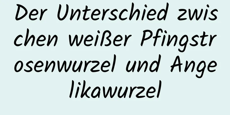 Der Unterschied zwischen weißer Pfingstrosenwurzel und Angelikawurzel