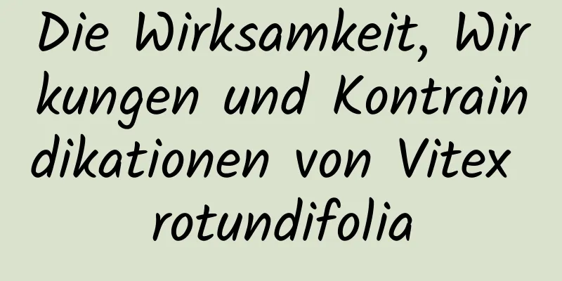 Die Wirksamkeit, Wirkungen und Kontraindikationen von Vitex rotundifolia