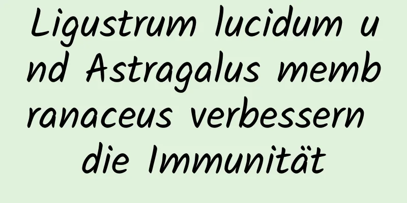 Ligustrum lucidum und Astragalus membranaceus verbessern die Immunität