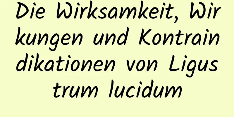 Die Wirksamkeit, Wirkungen und Kontraindikationen von Ligustrum lucidum