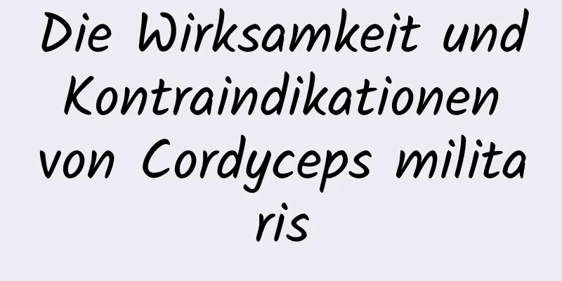 Die Wirksamkeit und Kontraindikationen von Cordyceps militaris