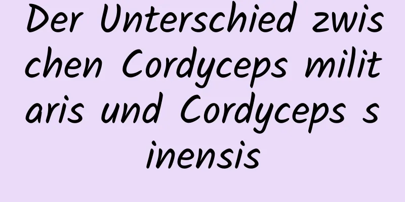 Der Unterschied zwischen Cordyceps militaris und Cordyceps sinensis