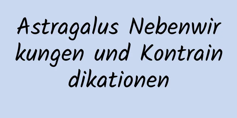 Astragalus Nebenwirkungen und Kontraindikationen