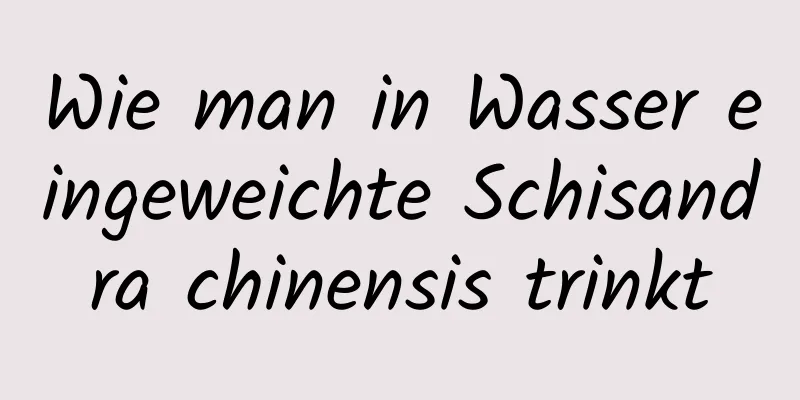 Wie man in Wasser eingeweichte Schisandra chinensis trinkt