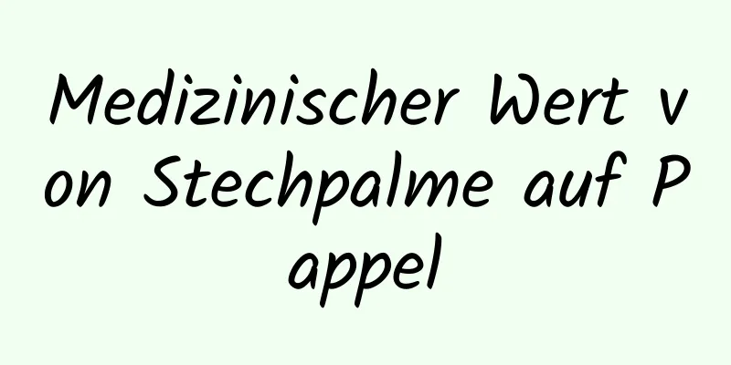 Medizinischer Wert von Stechpalme auf Pappel